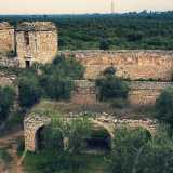 ...la neviera e il palmento che fanno capolino in mezzo a una distesa sconfinata di ulivi